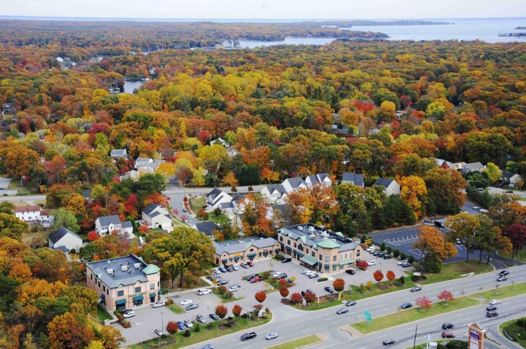 Junk Night | Junk Removal Service