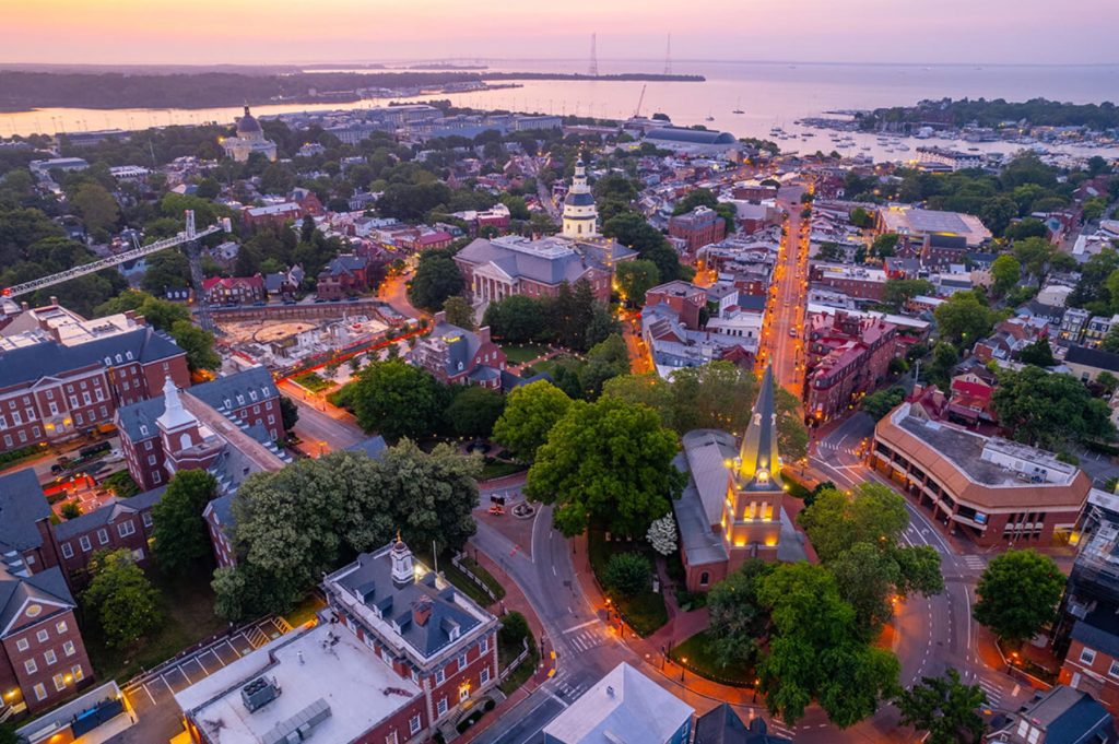 Junk Night | Junk Removal Service