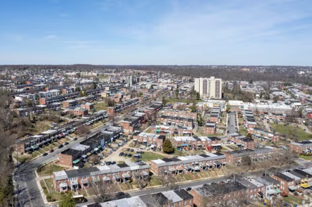 Junk Night | Junk Removal Service