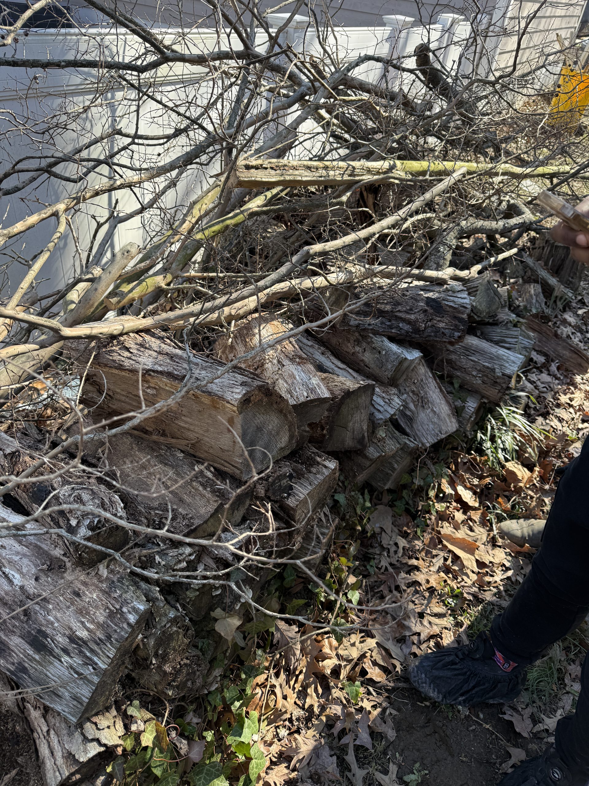 Row of old firewood