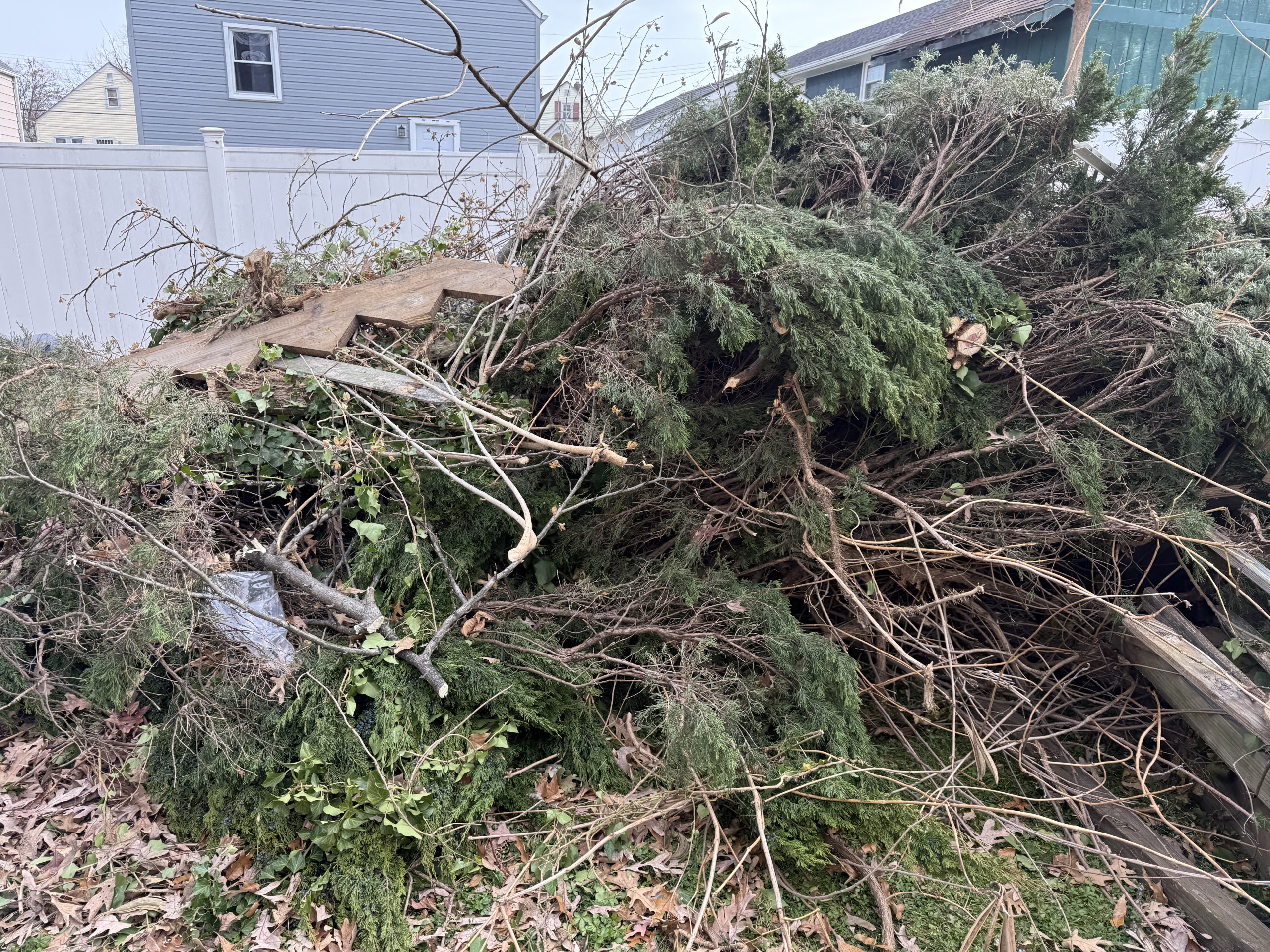 Thick pile of tree branches